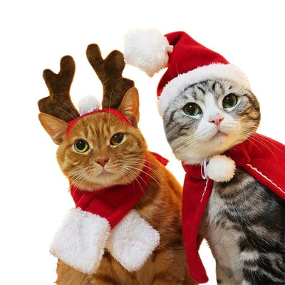 Christmas Hat
