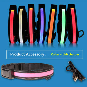 light up dog collar