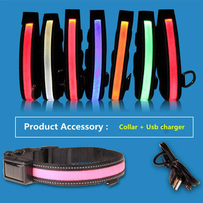 light up dog collar
