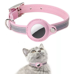 dog collars