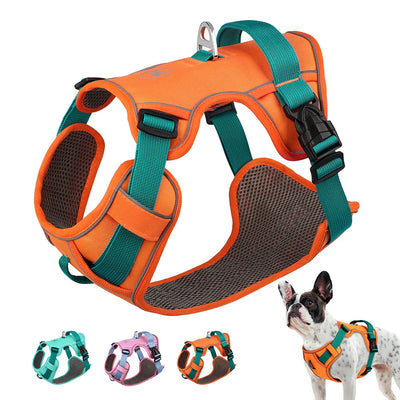 Dog Harness