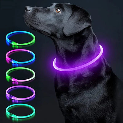 Dog Collar