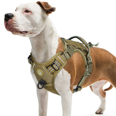 Dog Vest
