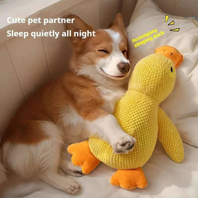 Dog Toy