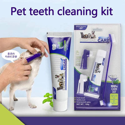for Dogs