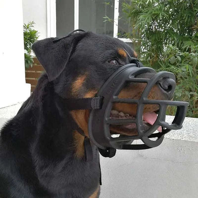 dog muzzles