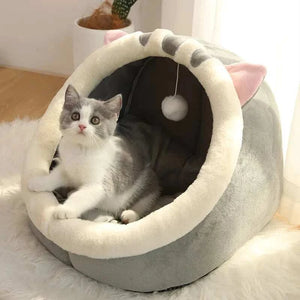 dog bed