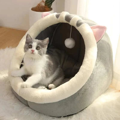 dog bed