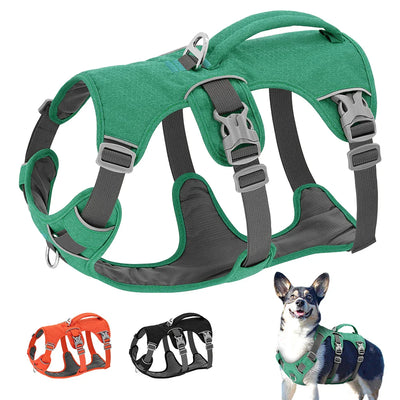 Dog Harness
