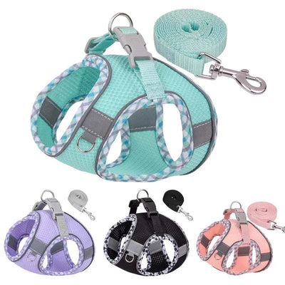 Dog Harness