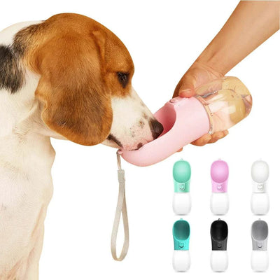 Dog Water Bottle