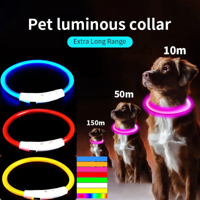 dog collar