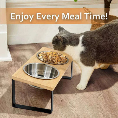 cat bowls