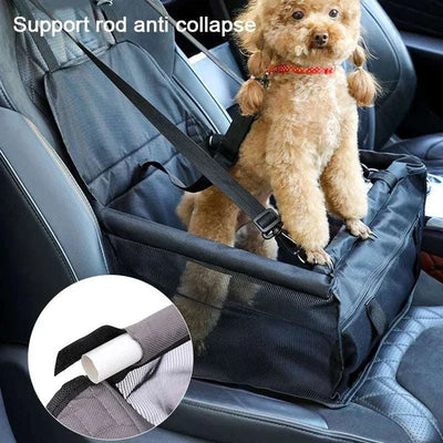 Travel Accessories