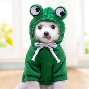 dog hoodie