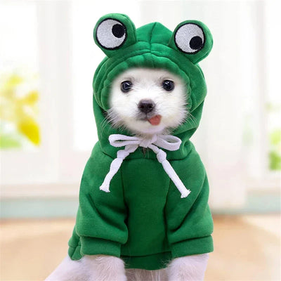 dog hoodie