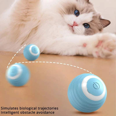 Cat Toys