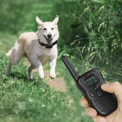 shock collar for dogs